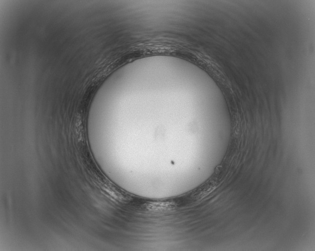 X0000060220465200510280916
