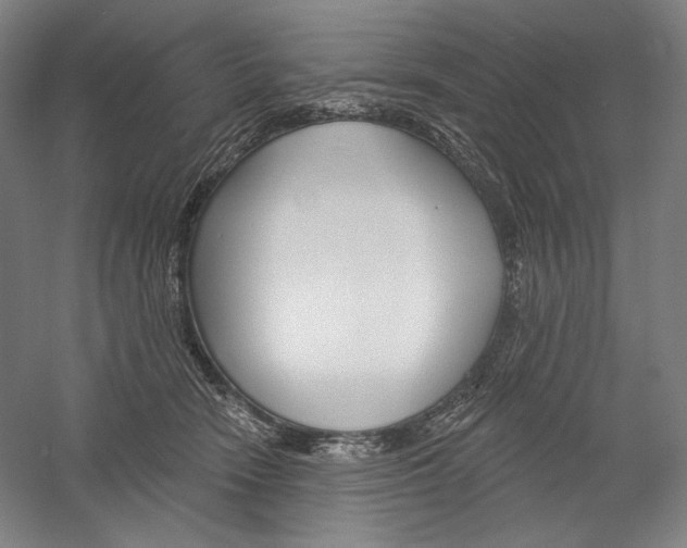 X0000060220466200510280916