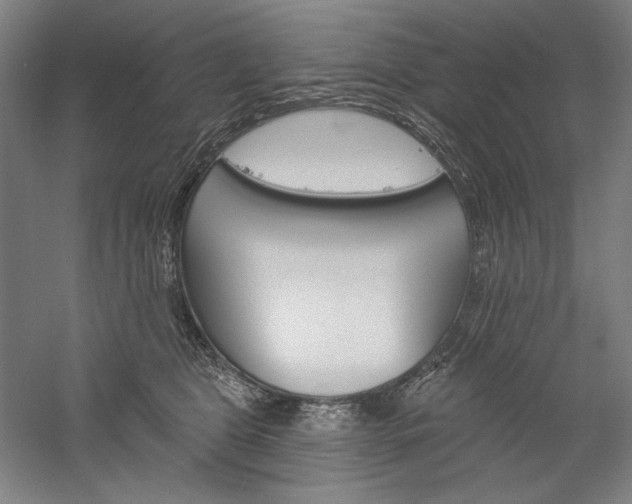 X0000060220469200510280916