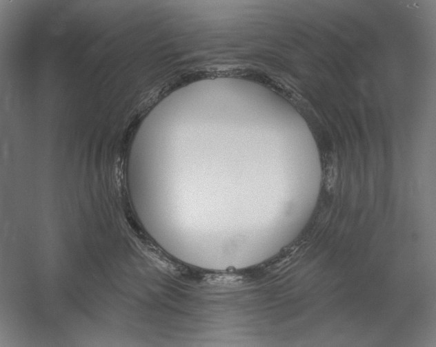 X0000060220476200510280916