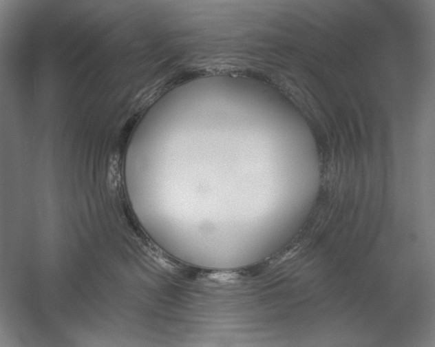 X0000060220478200510280916