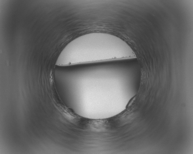 X0000060220479200510280916