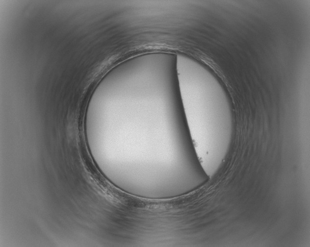 X0000060220482200510280915