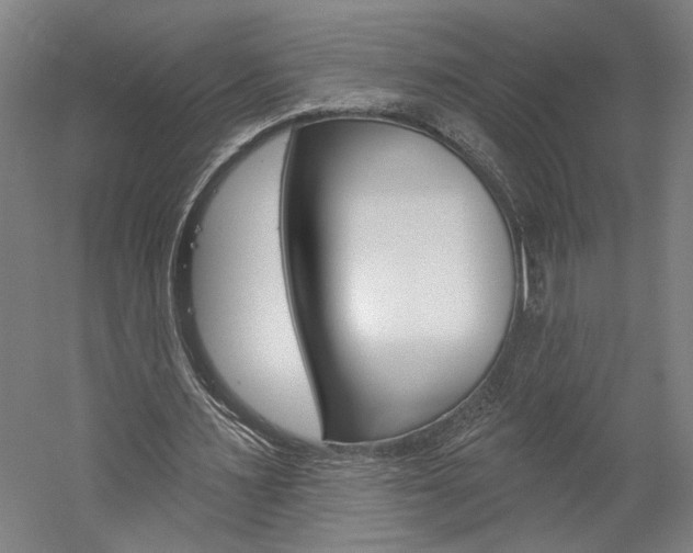 X0000060220483200510280915