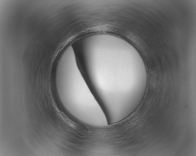 X0000060220486200510280915