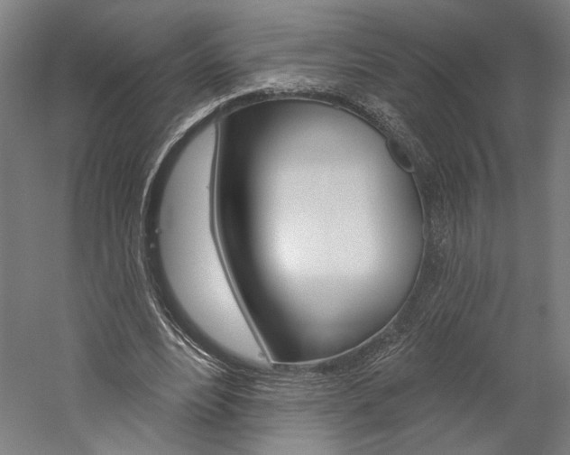X0000060220488200510280915