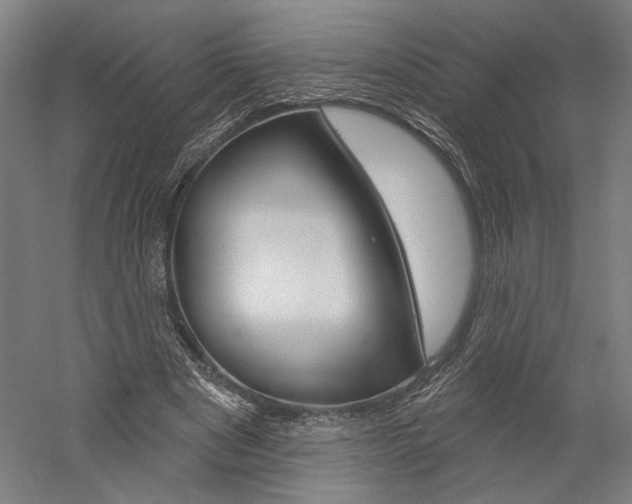 X0000060220489200510280915