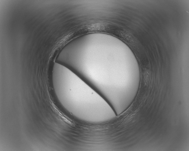 X0000060220490200510280915
