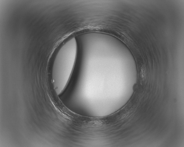 X0000060220492200510280915