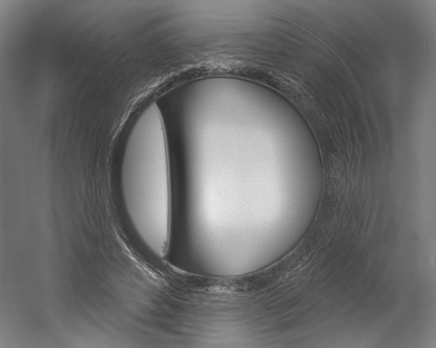 X0000060220496200510280915