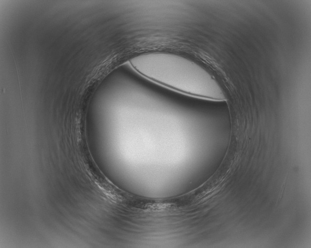 X0000060220497200510280915