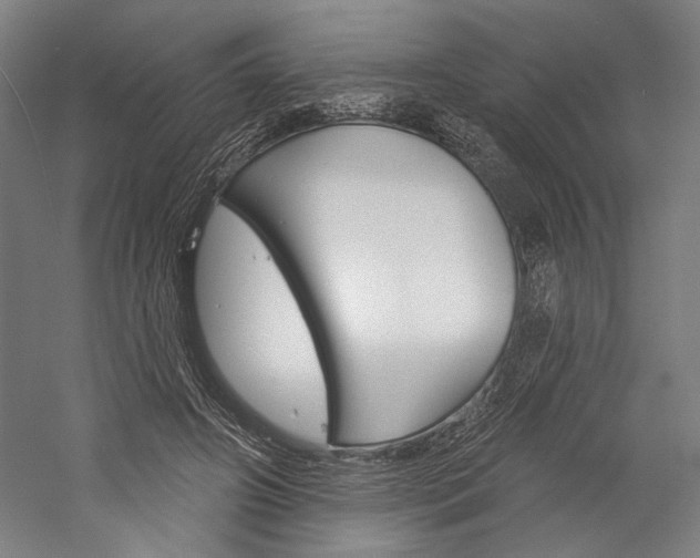 X0000060220498200510280915