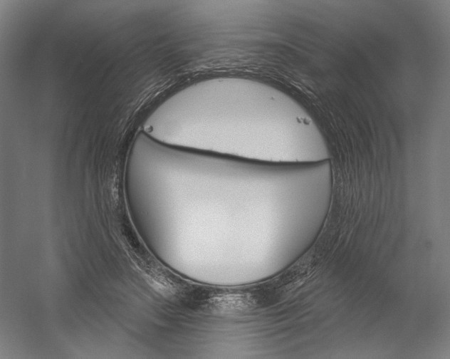X0000060220499200510280915