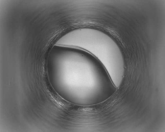 X0000060220501200510280915