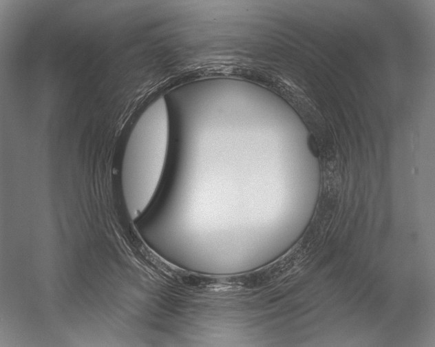 X0000060220504200510280915