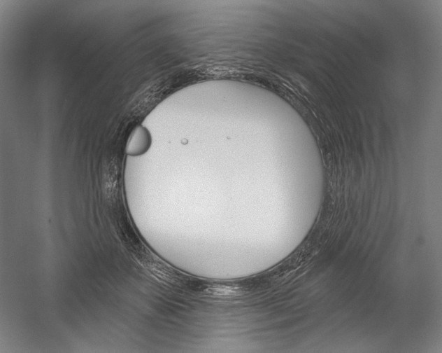 X0000060220507200510280915