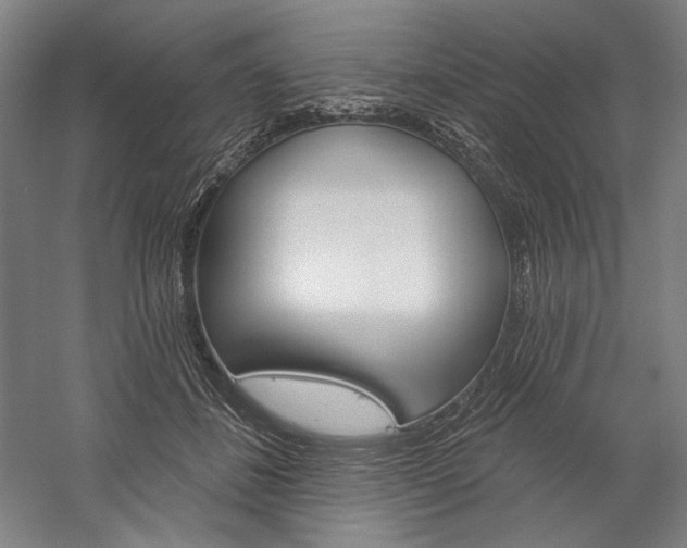 X0000060220508200510280915