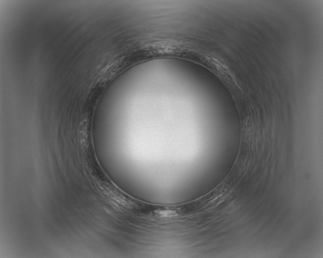 X0000060220509200510280915