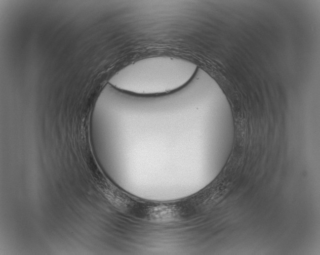 X0000060220511200510280915