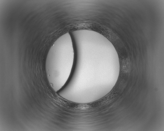 X0000060220514200510280915