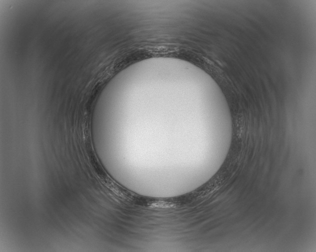 X0000060220515200510280915