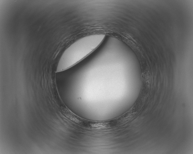 X0000060220516200510280915