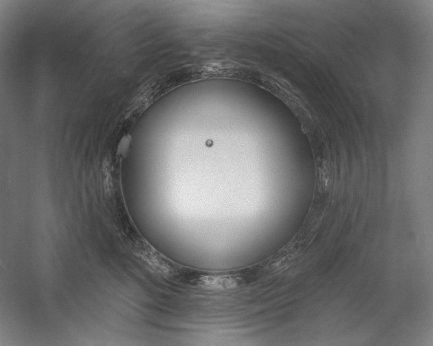 X0000060220520200510280915