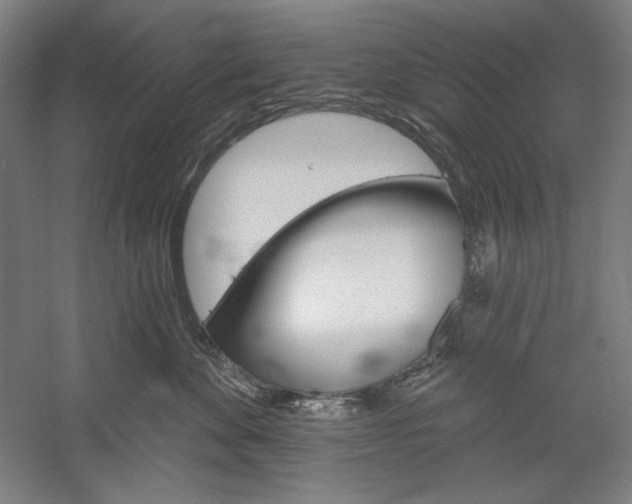 X0000060220524200510280915