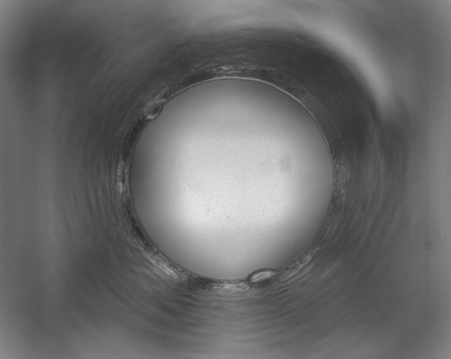 X0000060220525200510280915