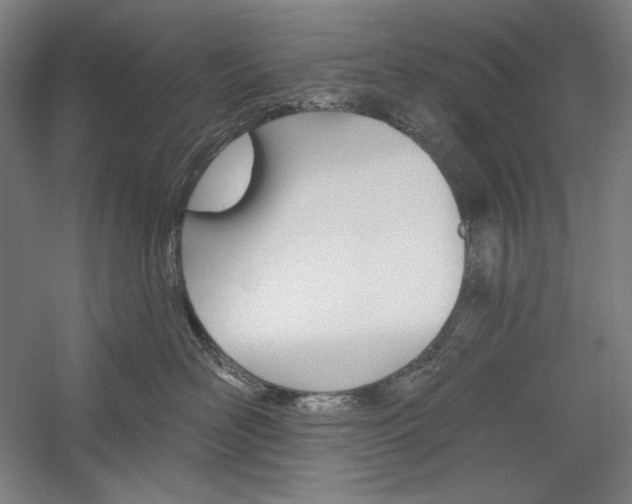 X0000060220526200510280915