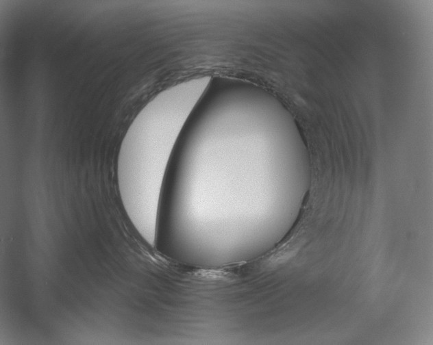 X0000060220528200510280915