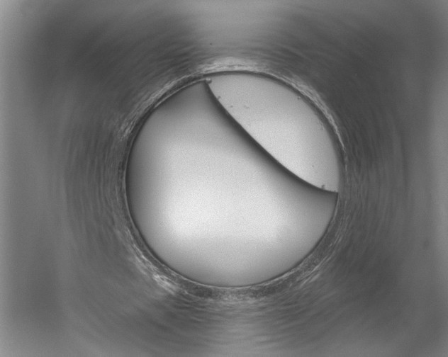 X0000060220529200510280914