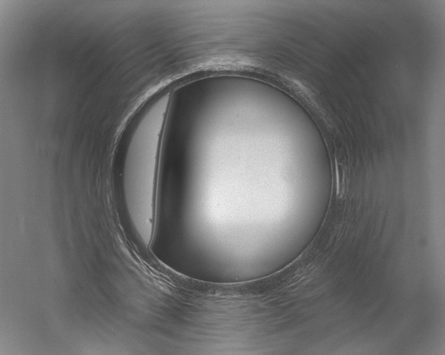 X0000060220531200510280914