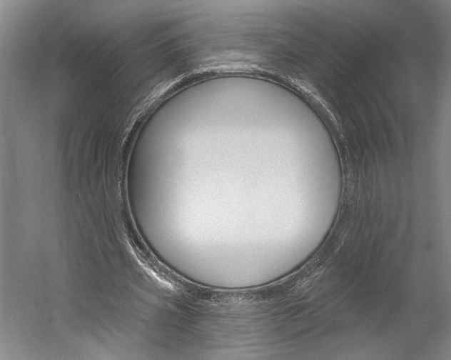 X0000060220533200510280914