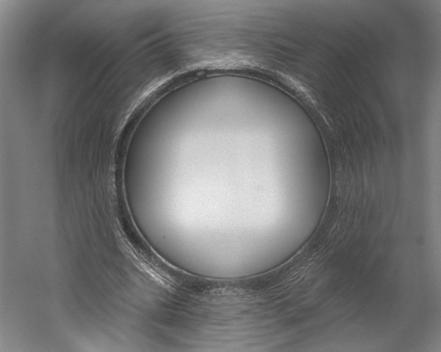 X0000060220535200510280914