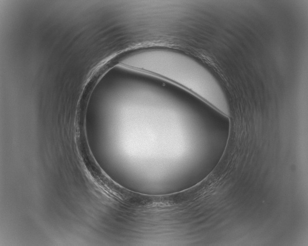 X0000060220536200510280914