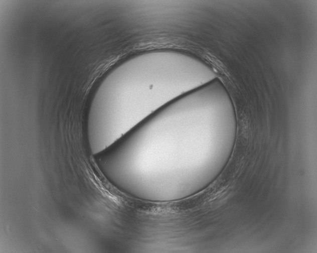 X0000060220537200510280914