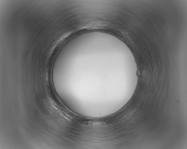 X0000060220539200510280914