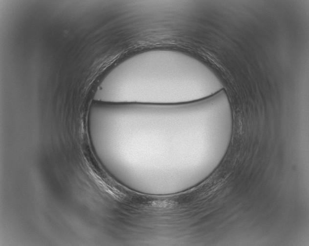 X0000060220541200510280914