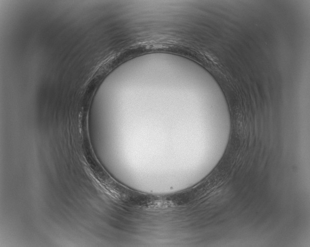 X0000060220543200510280914