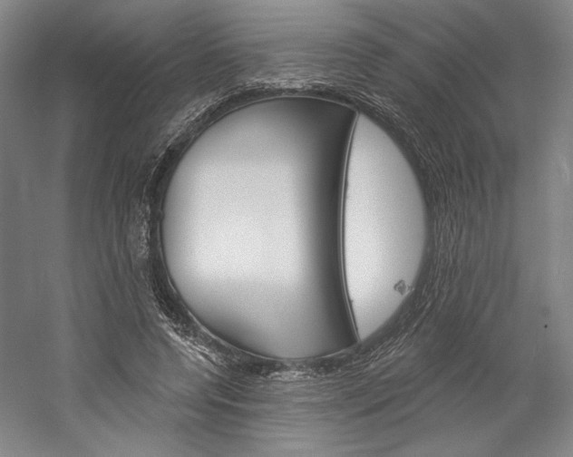 X0000060220544200510280914