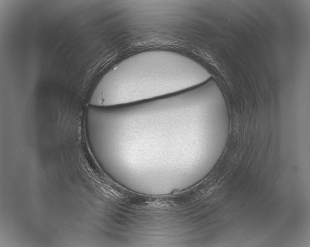 X0000060220545200510280914