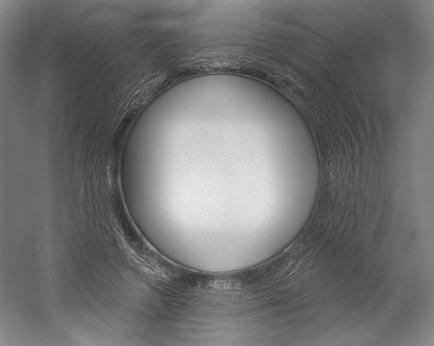 X0000060220546200510280914