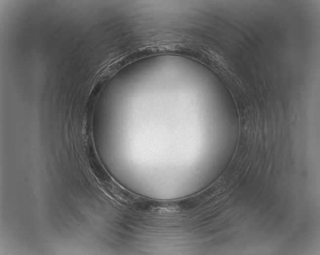 X0000060220548200510280914