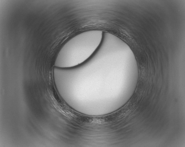 X0000060220549200510280914