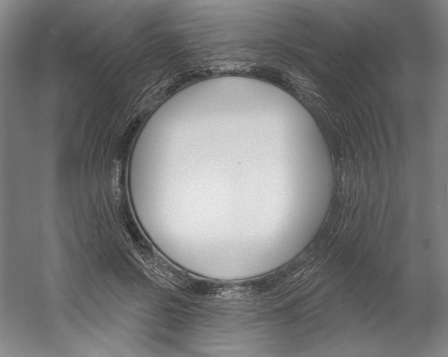 X0000060220550200510280914
