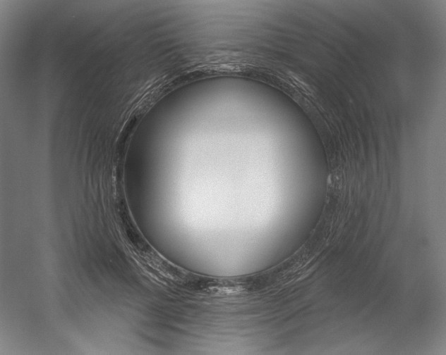 X0000060220552200510280914