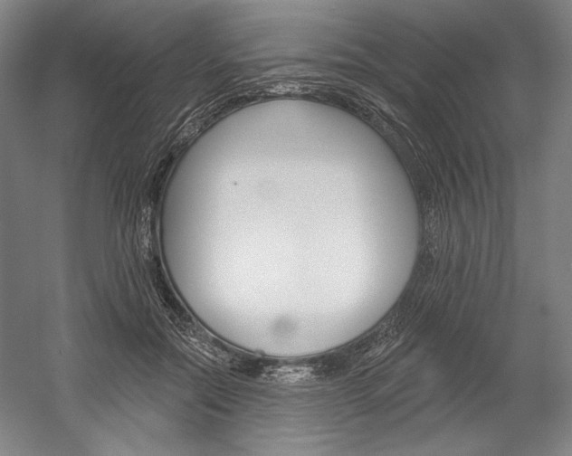 X0000060220554200510280914