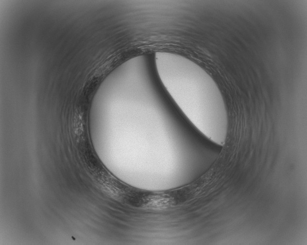 X0000060220555200510280914