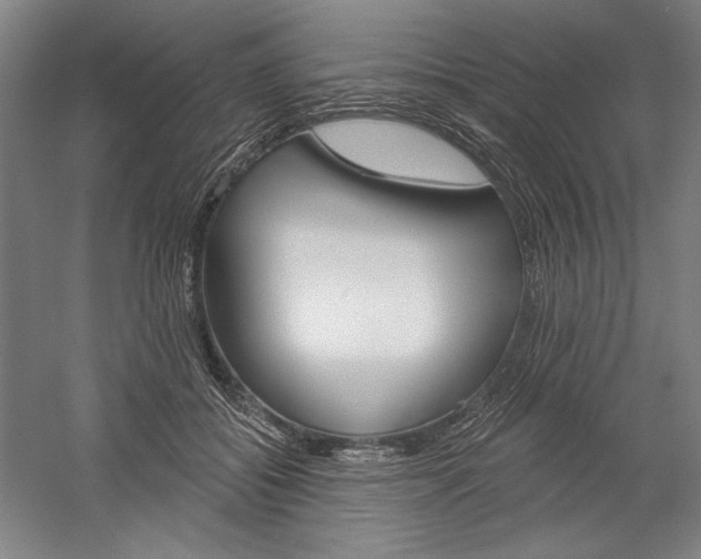 X0000060220556200510280914